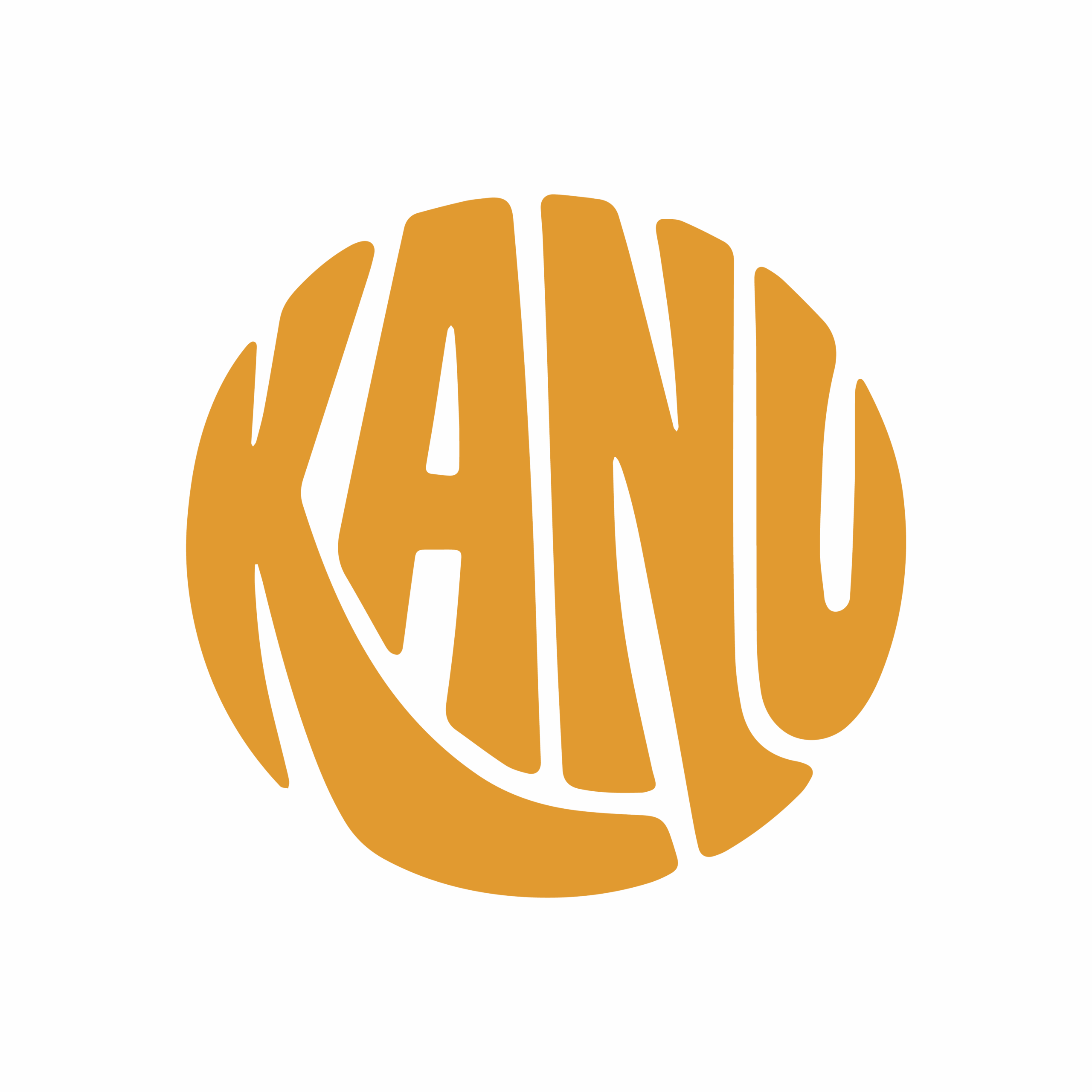 KANU Experience